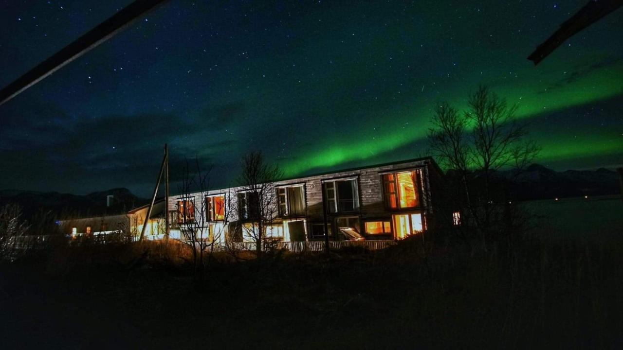 Bed and Breakfast Risvaer Brygger Digermulen Exterior foto